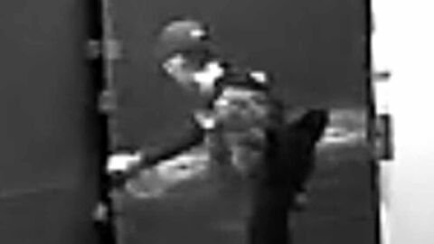 Unbekannte Täter verschaffen sich unbefugten Zutritt in eine Lagerhalle