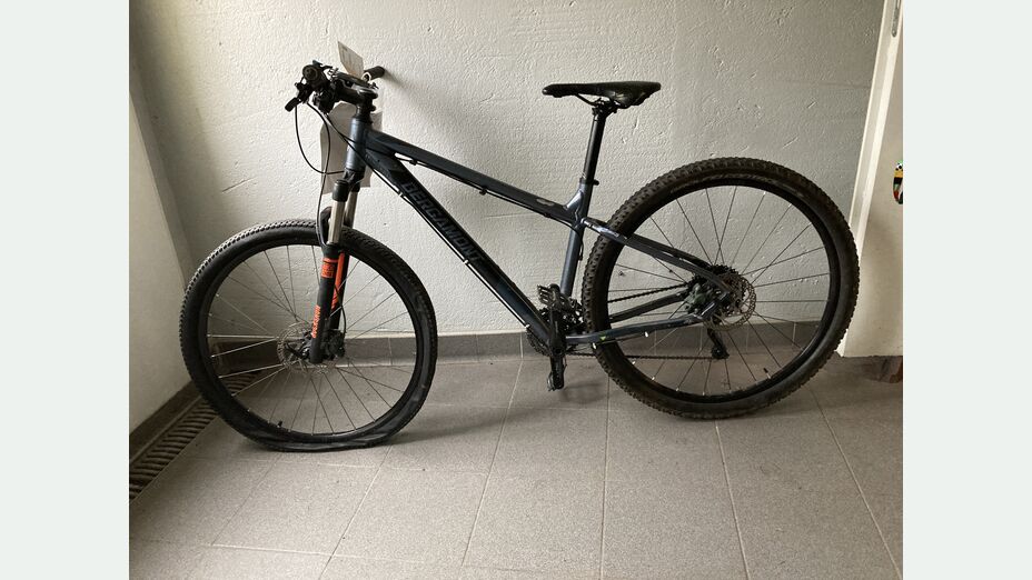 Fahrrad, Bergamont, grau